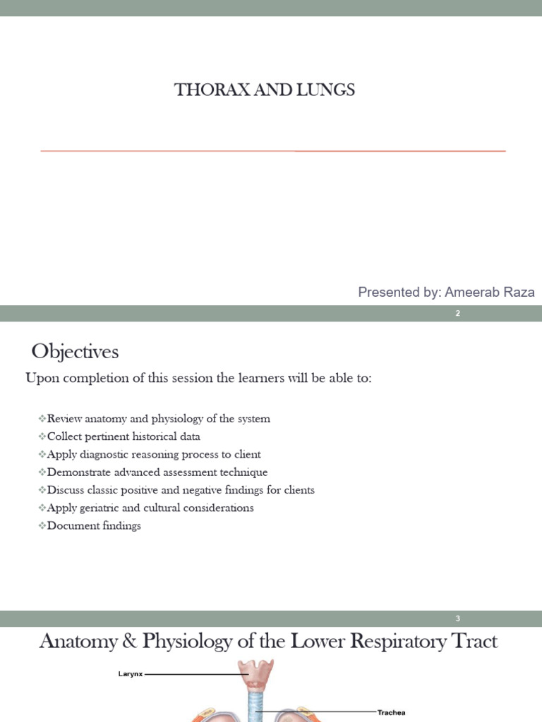 Revised Thorax and Lungs | PDF | Thorax | Lung