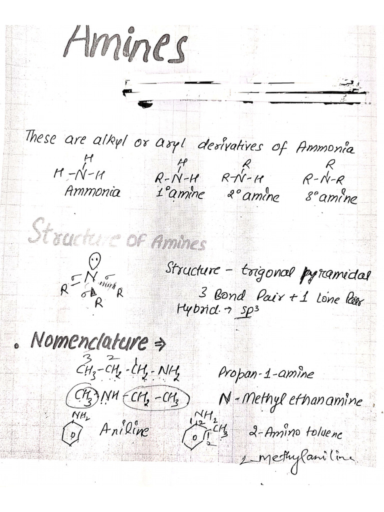 Amines Chemistry | PDF