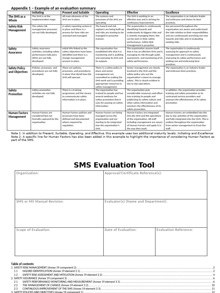 Sms Evaluation Tool | PDF | Audit | Safety