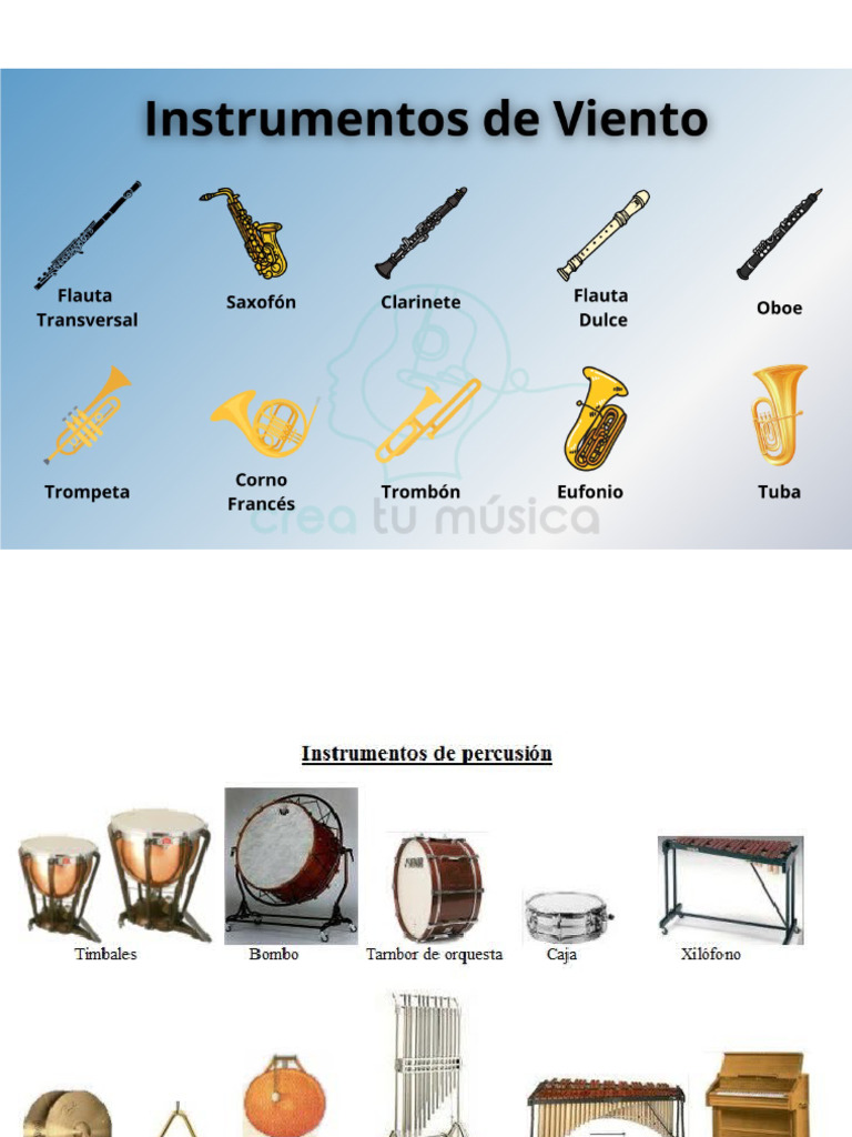 Instrumentos Viento, Cuerda y Percusion | PDF