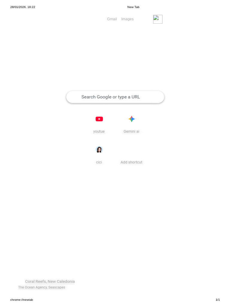 New Tab | PDF