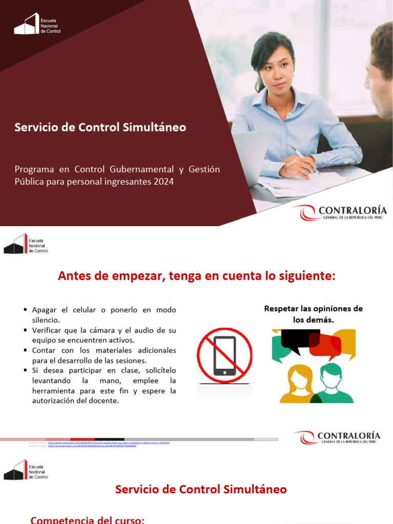 02 PPT Servicio Control Simultáneo Prog Ingres 2024 | PDF ...