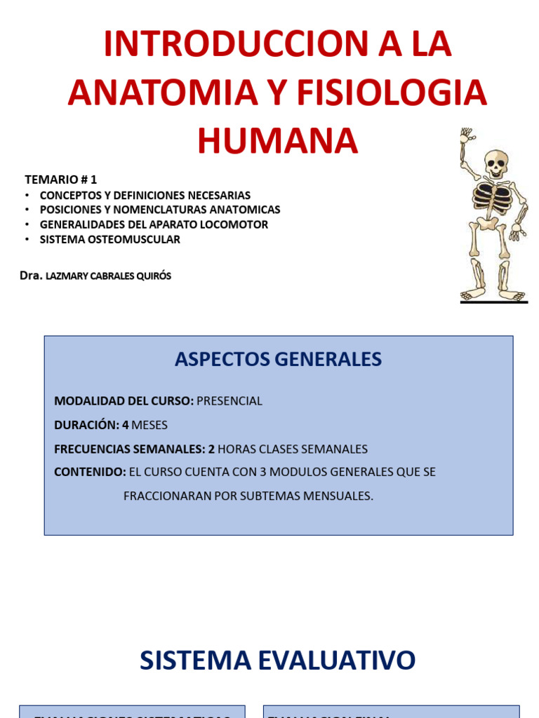 Conferencia+1 ++Anatomia+Humana+ | PDF | Articulación | Músculo