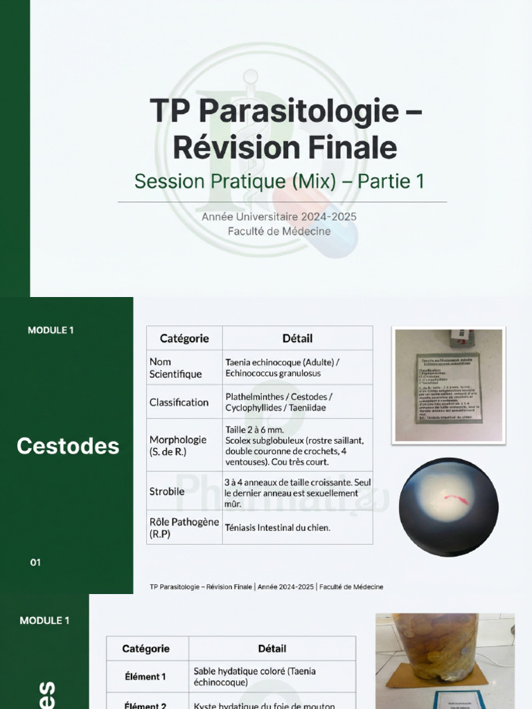 TP1 | PDF