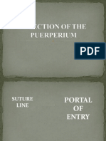 Infection of the Puerperium