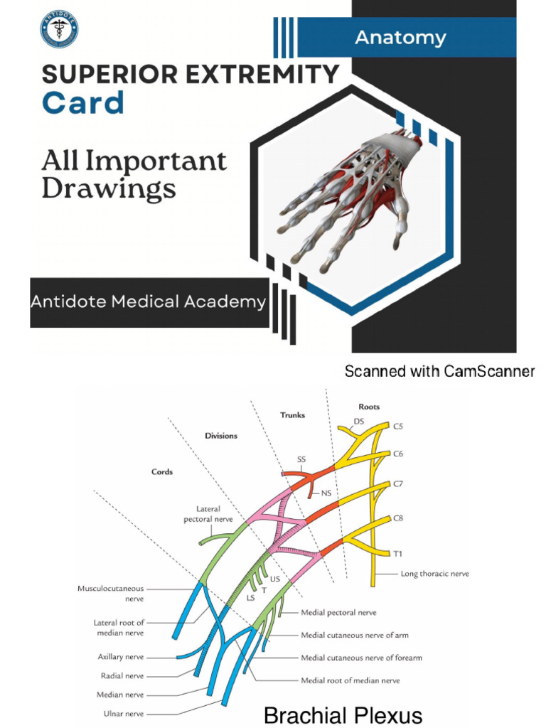All Drawings of Suprex Card | PDF