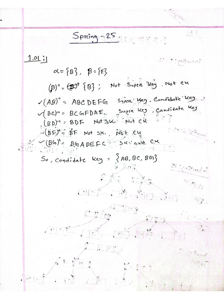 Assignment | PDF