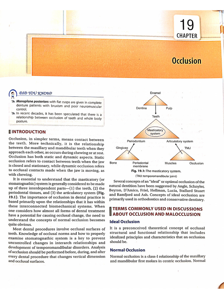 Occlusion 2 | PDF