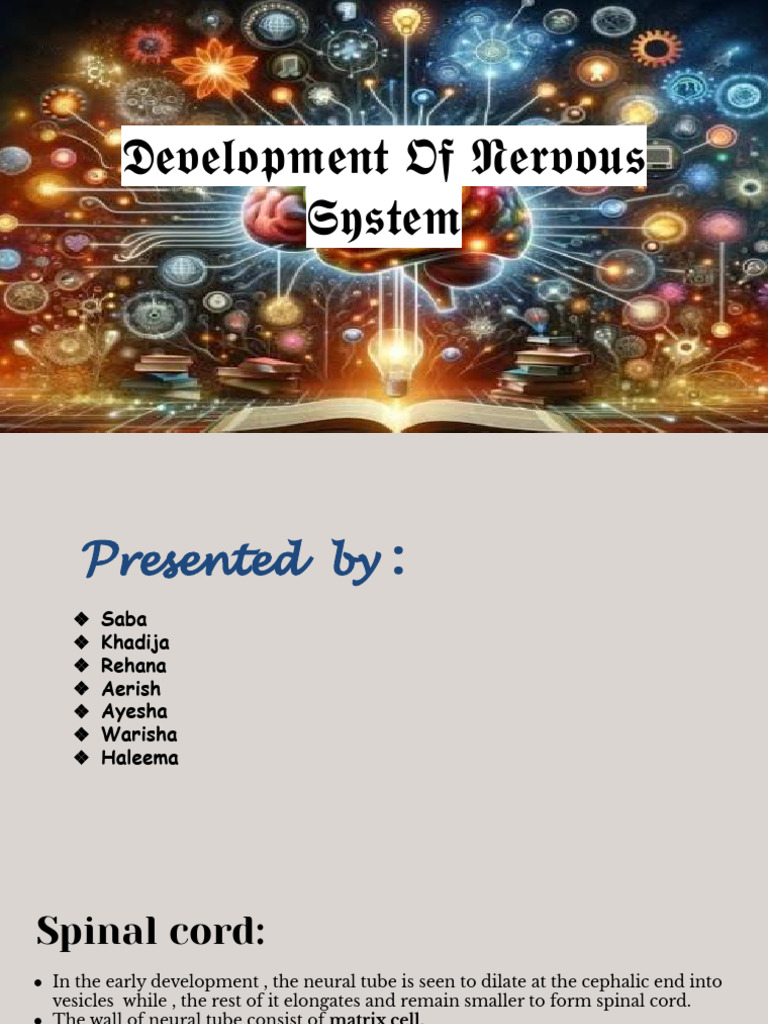 Development of Nervous System - 1 | PDF | Spinal Cord | Cerebellum