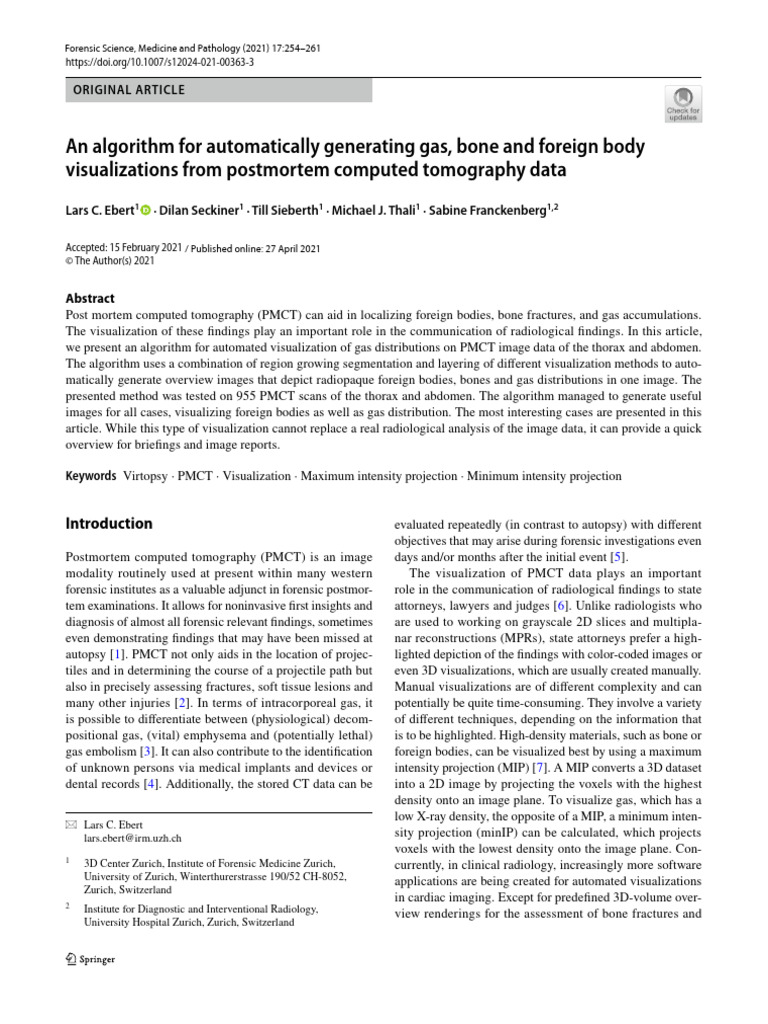 An Algorithm For Automatically Generating Gas, Bone and Foreign Body ...