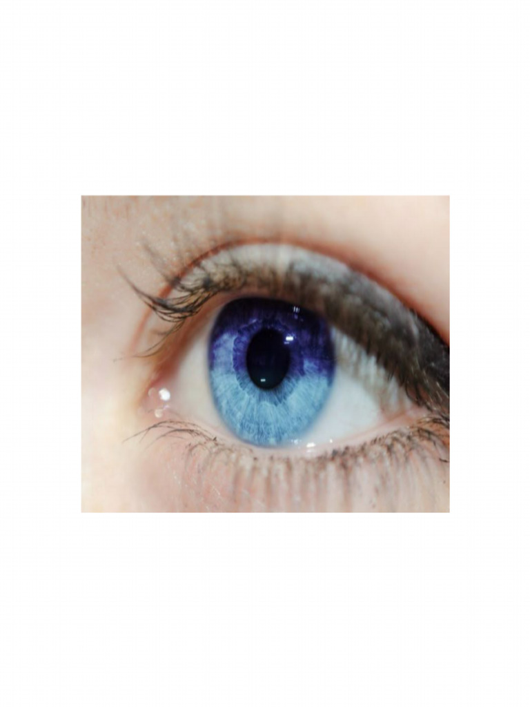 Eye | PDF