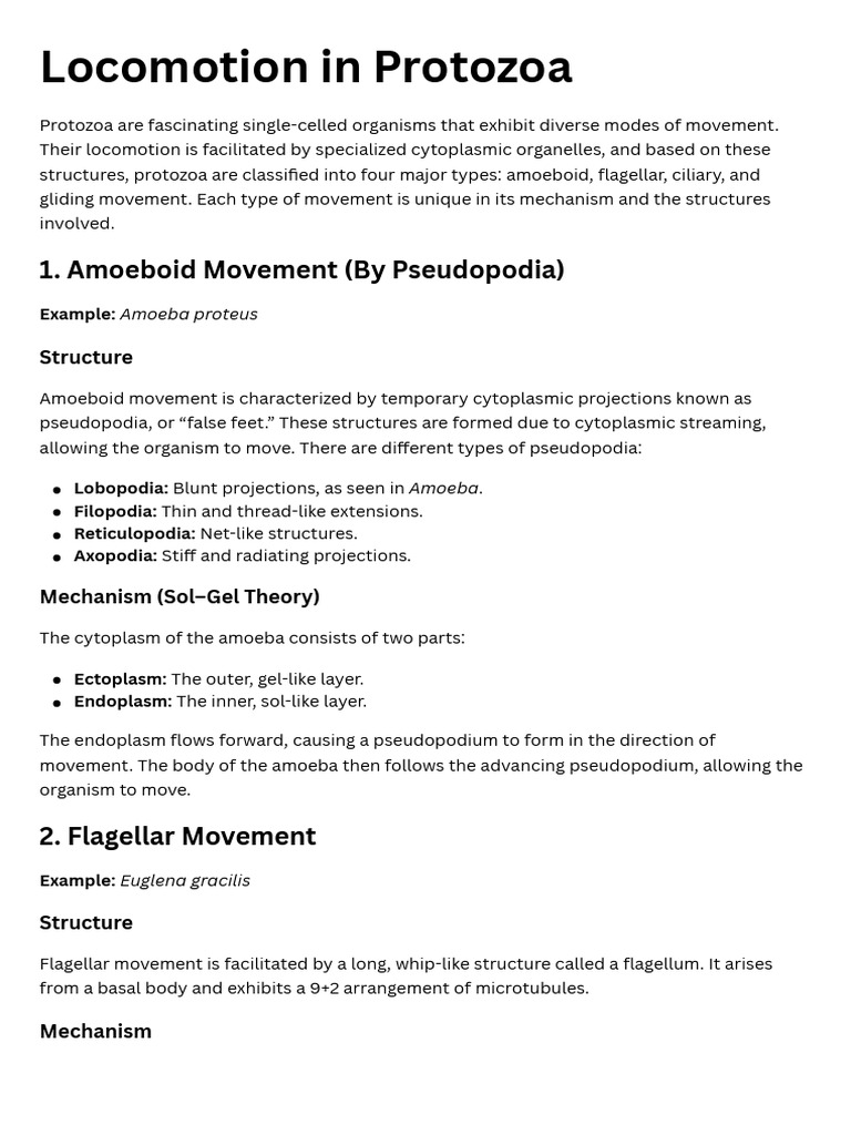 Locomotion in Protozoa | PDF | Sponge | Malaria