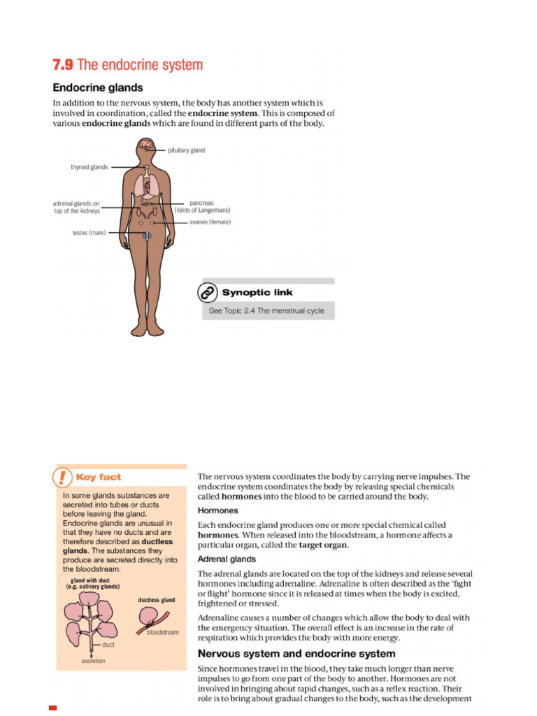 Drawing Lab | PDF