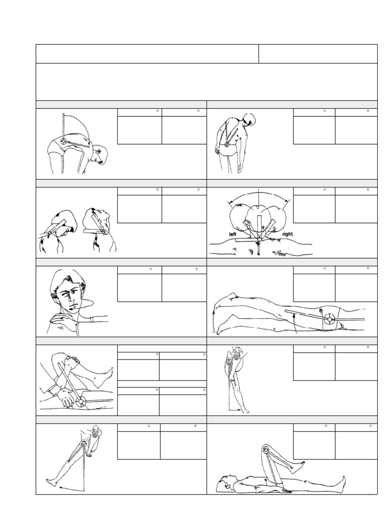 ROM+Chart Va | PDF | Anatomical Terms Of Motion | Limbs (Anatomy)