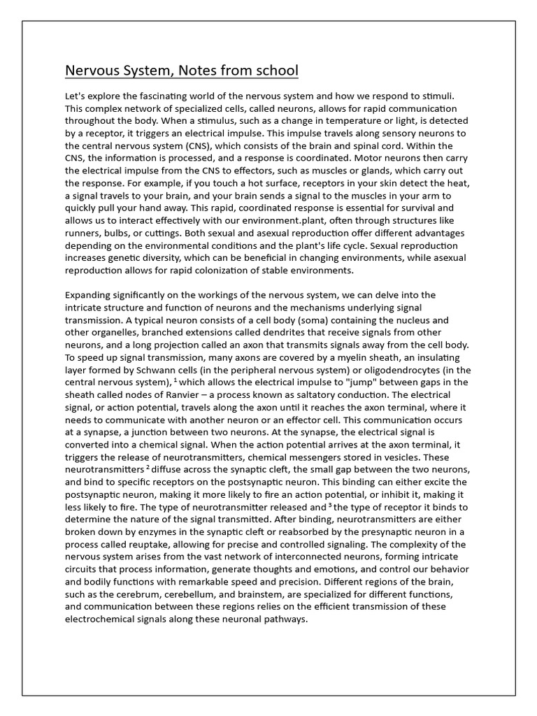 Nervous System. Notes From School | PDF | Neuron | Synapse