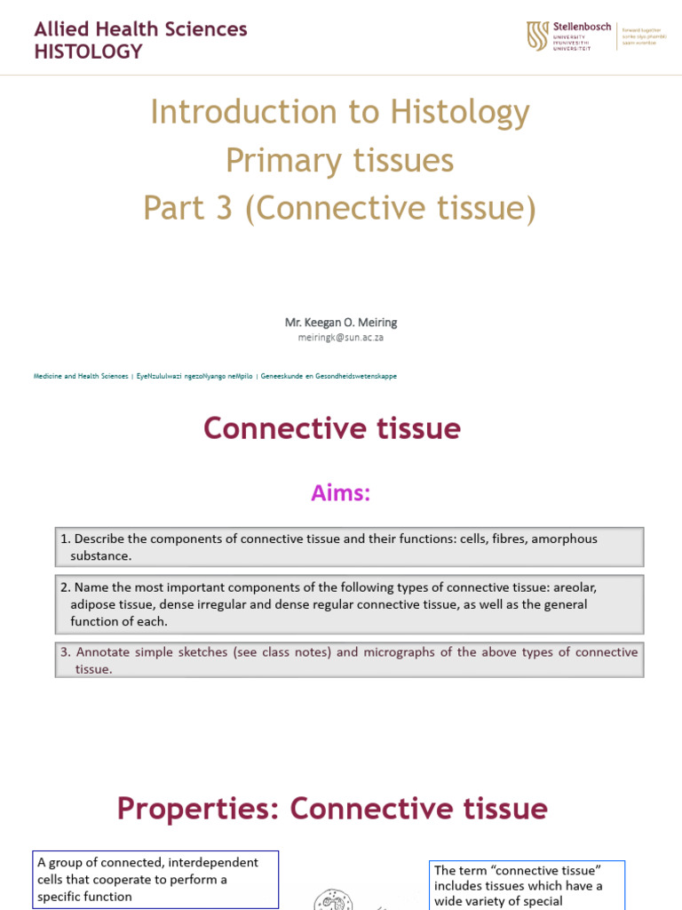 HIST Prim Tiss Lecture Part 3 Connective Tissue KM | PDF | Connective ...