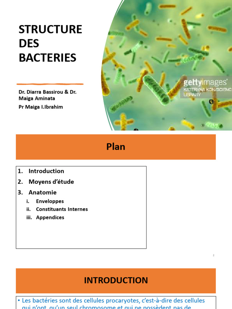 005 - Structure Et Anatomie Des Bactéries | PDF | Cytoplasme | Membrane ...