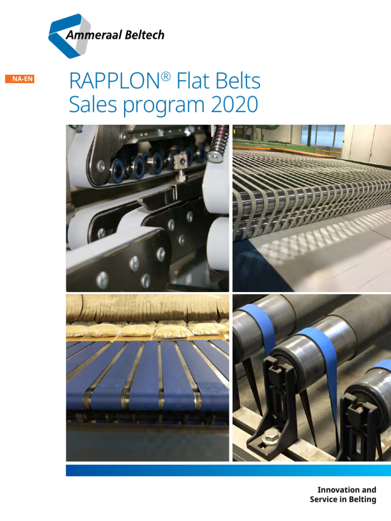 RAPPLON Flat Belts Sales Program 2020 en US | PDF | Belt (Mechanical ...