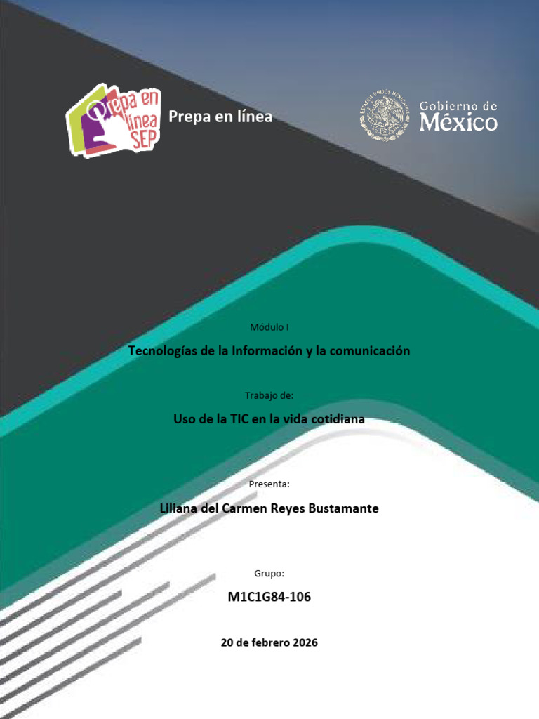 Uso de Las TIC en La Vida Cotidiana | PDF | Tecnología de información y ...