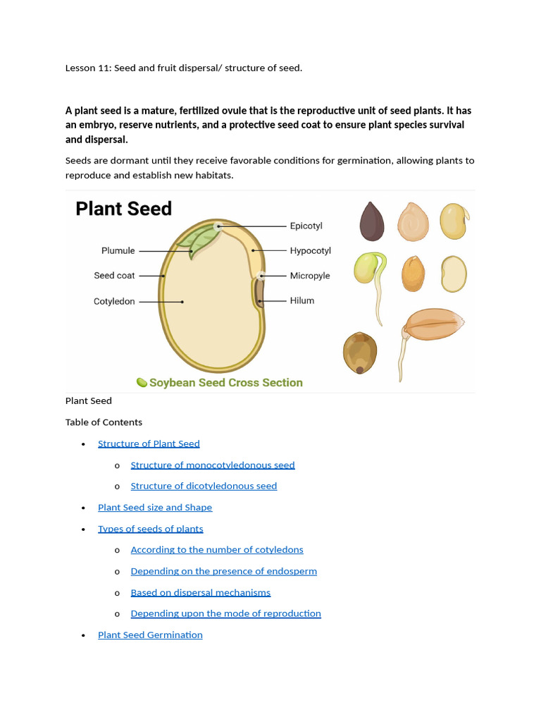 Lesson 11 | PDF | Seed | Biological Interactions