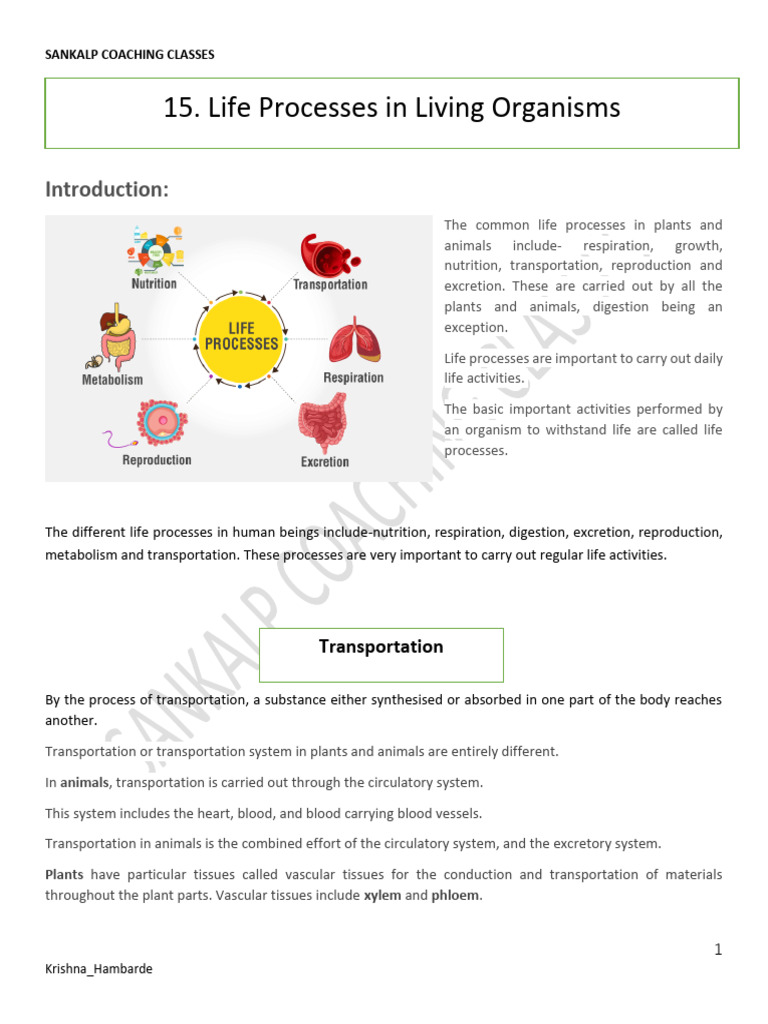 Life Processes in Living Organisms PDF | PDF