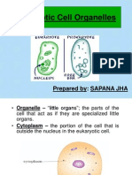 Eukaryotic Cell Organelles: Prepared By: SAPANA JHA