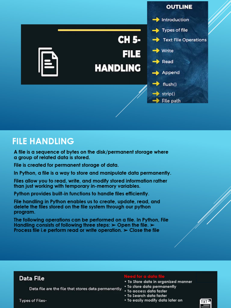 5 - File Handling (Text File) | PDF