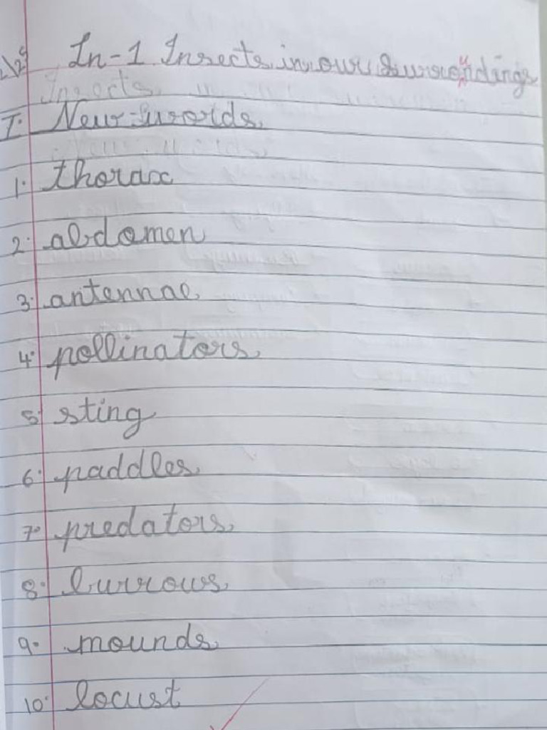 Grade 3 Science Ln-1 Notes (PA4) | PDF