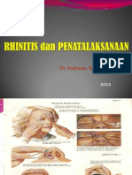 Rhinitis Dan Penatalaksanaan 2012