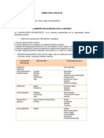 Semiótica vascular: anamnesis y examen físico