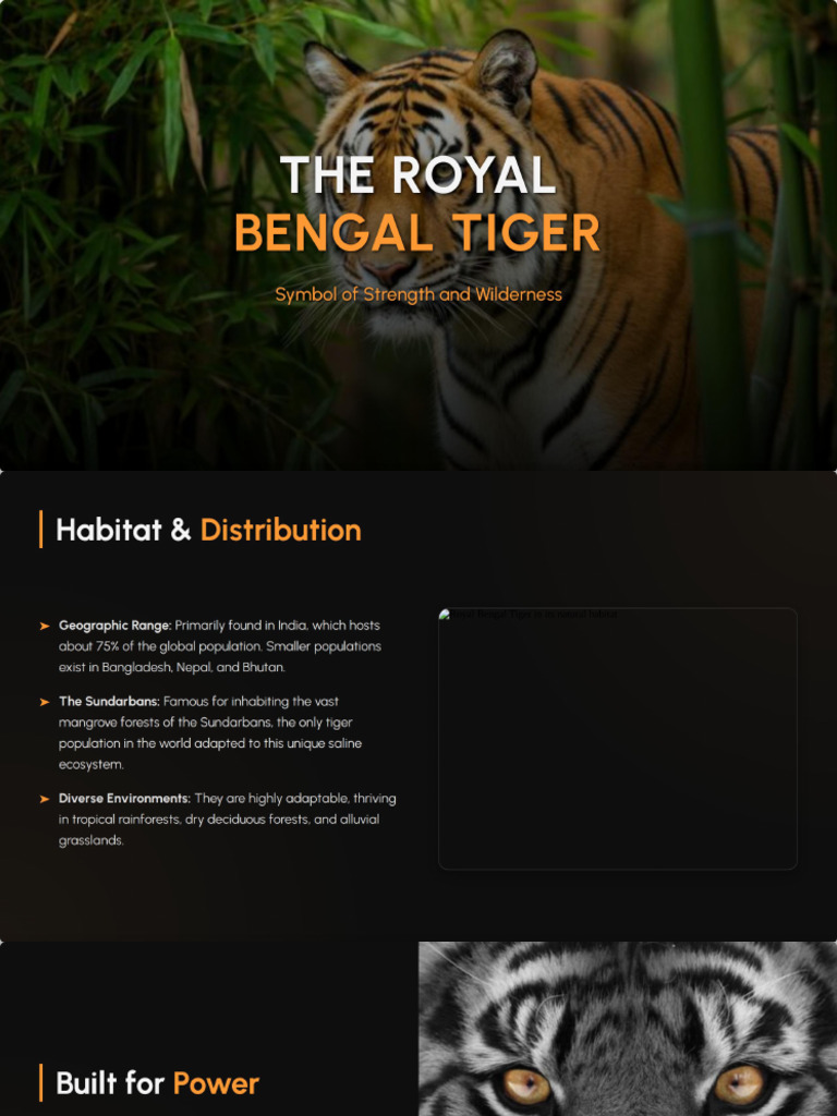 The Royal Bengal Tiger | PDF