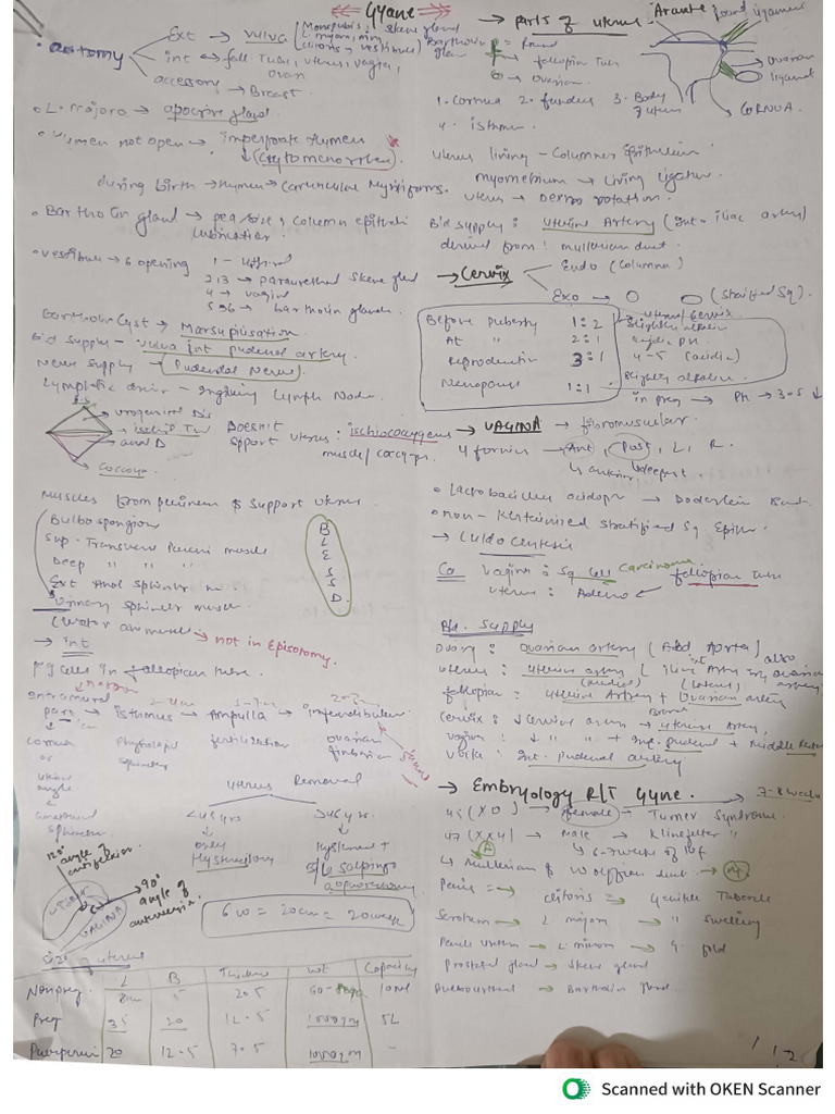 Short Notes Sample | PDF