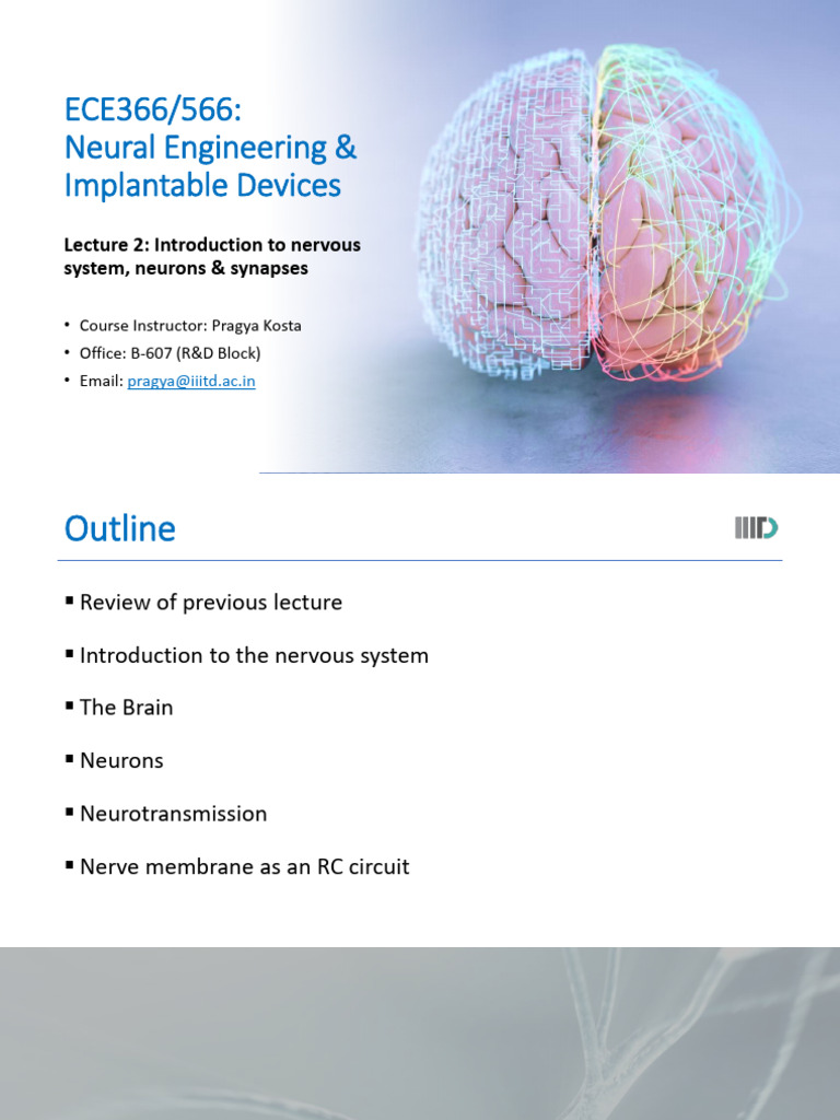 NEID26 Lecture2 Neurons | PDF | Neuron | Nervous System