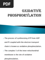 Oxidative Phosphorylation