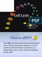 Cell Cycle