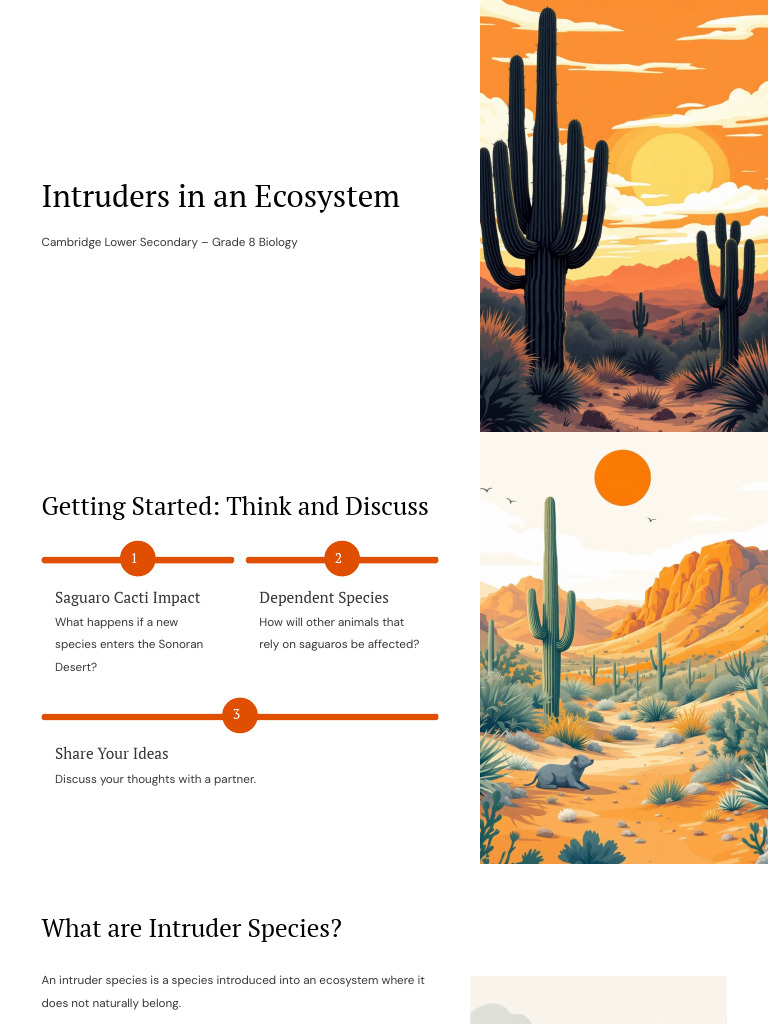 Intruders in An Ecosystem | PDF | Predation | Birds