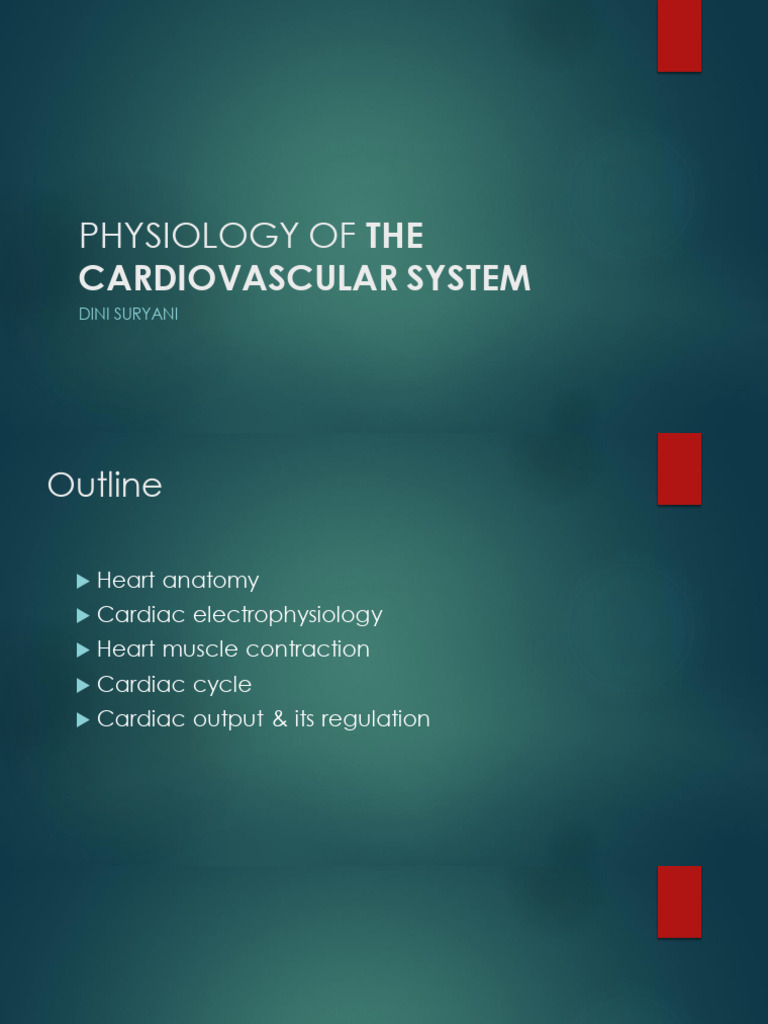 Physiology of The Cardiovascular System | PDF | Heart | Heart Valve