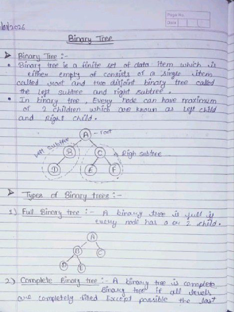 Binary Tree | PDF