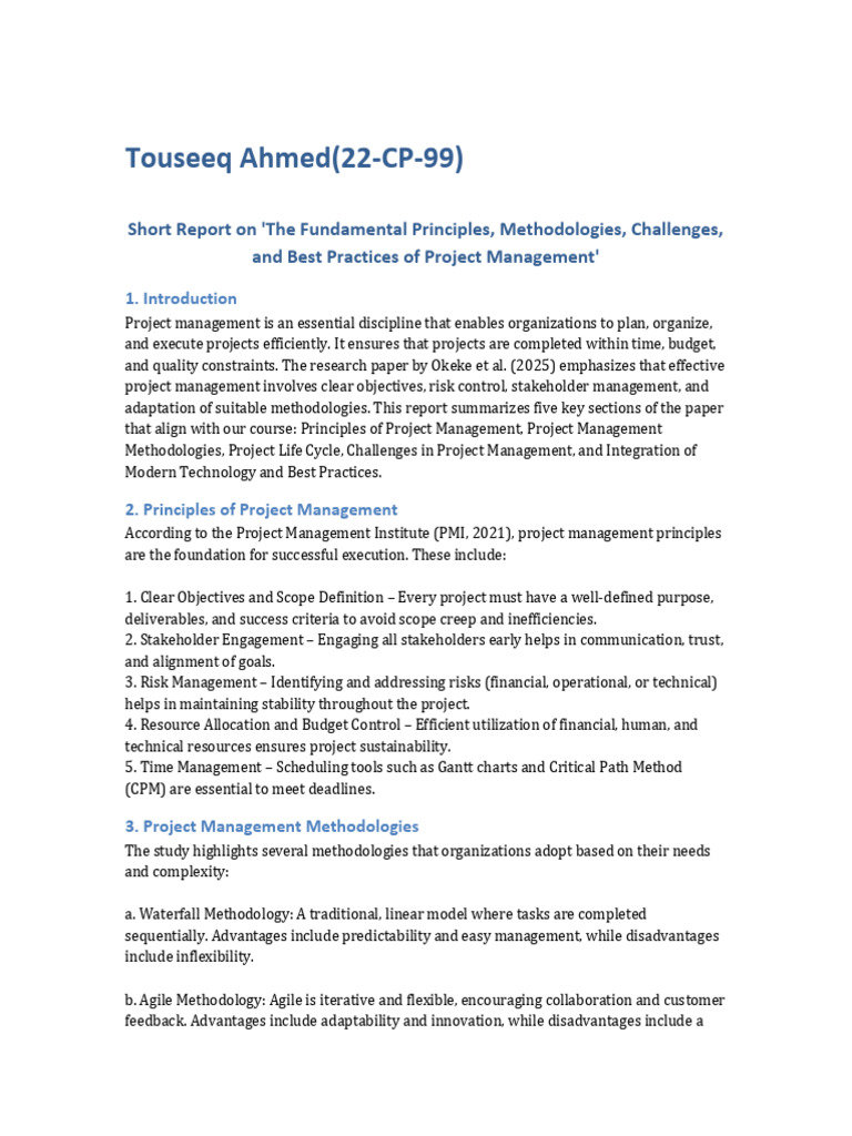 Project Management Report | PDF | Project Management | Agile Software ...