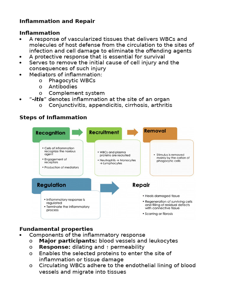 Inflammation and Repair | PDF | Inflammation | Wound Healing