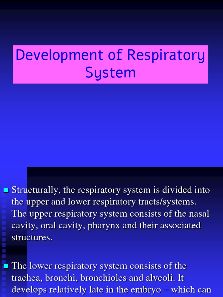 Development of Respiratory System | PDF | Respiratory Tract | Lung