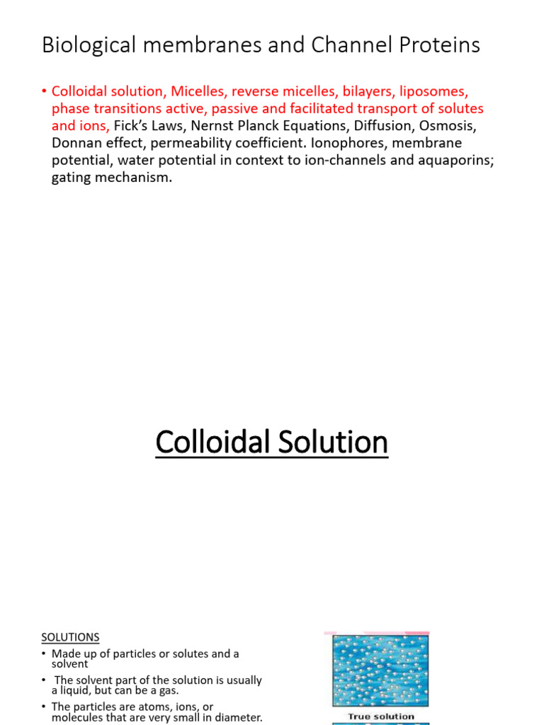Lec 5 Colloids - Class | PDF | Colloid | Chemistry