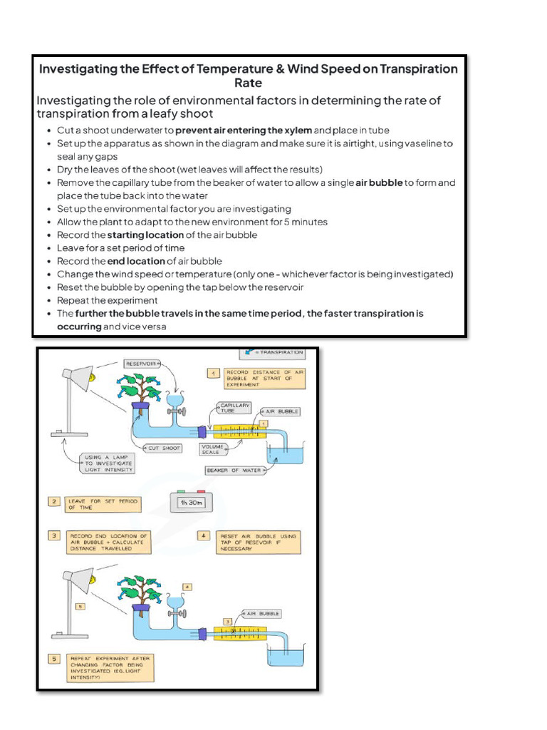 Biology Potometer | PDF