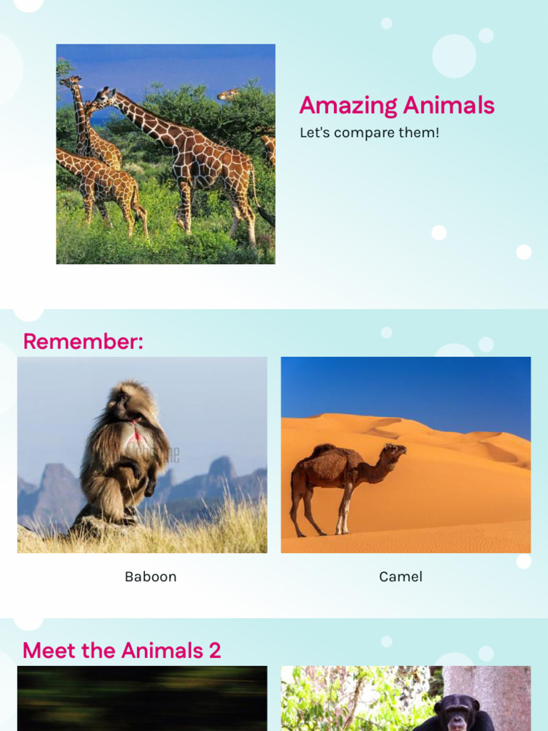Amazing Animals (Go! 5 Unit 5) | PDF