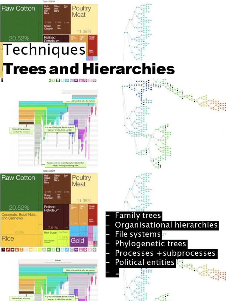 DataVis6 Trees+Hierarchies | PDF | Phylogenetic Tree | Visualization ...