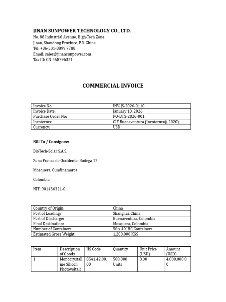 Commercial Invoice REAL Professional 4200000 | PDF