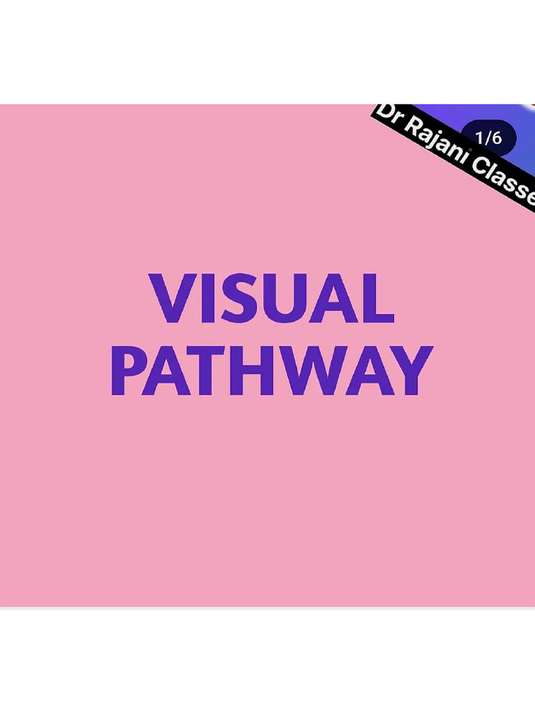 Visual Pathway | PDF