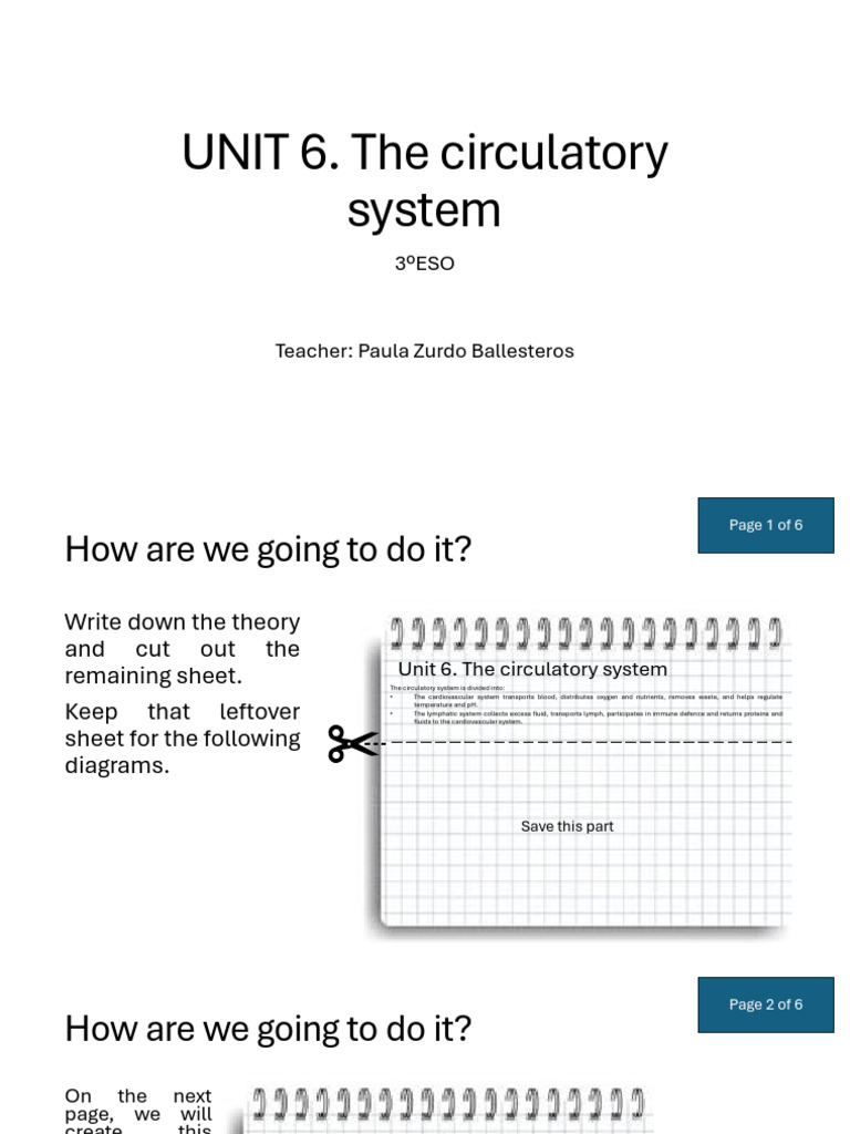 UNIT 06. The Circulatory System | PDF | Diastole | Heart Valve