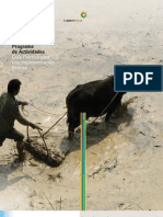 Manual de PoA - Climate Focus (Esp)