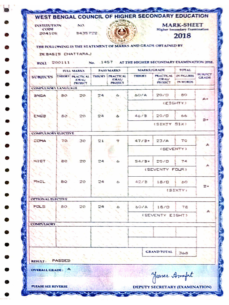 HS Marksheet. | PDF